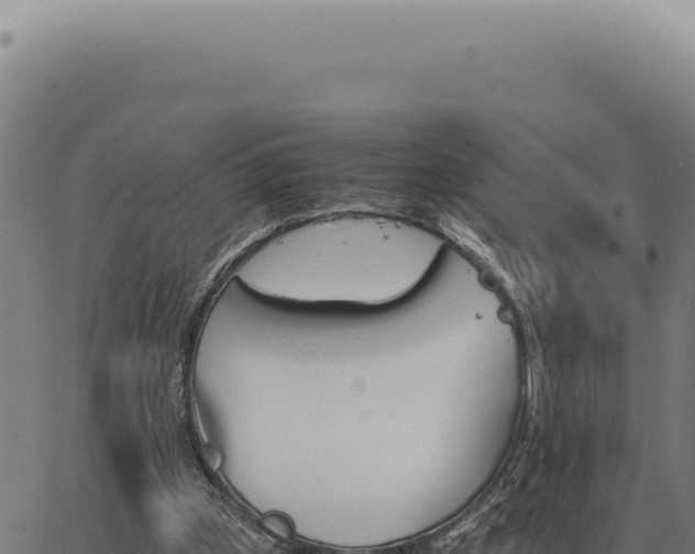 X0000063500249200601271752