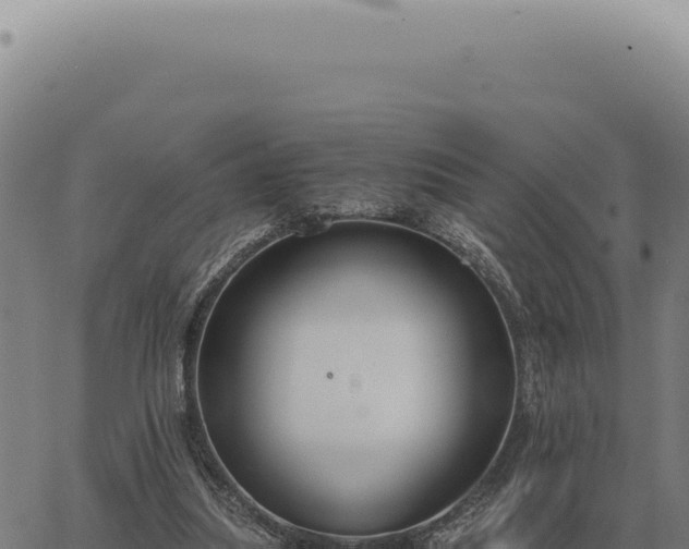 X0000063500251200601271752