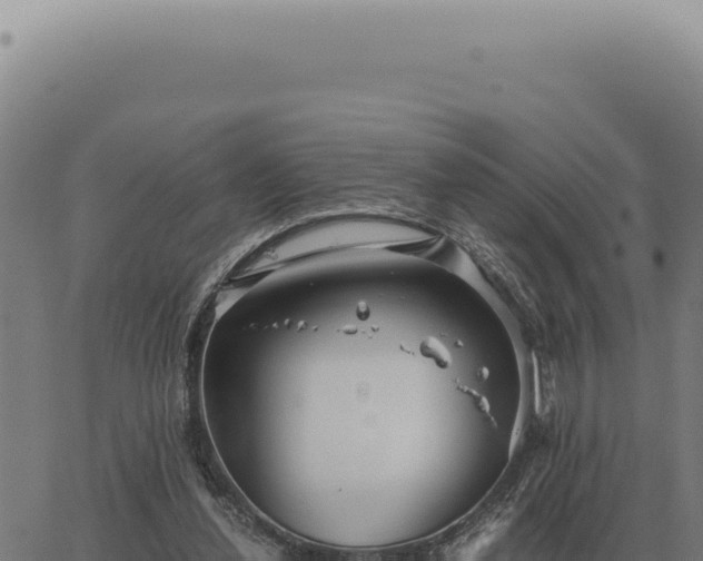 X0000063500252200601271752