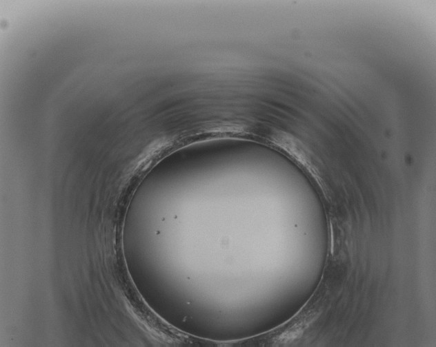 X0000063500253200601271752