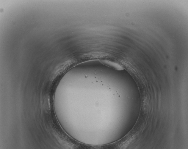 X0000063500254200601271752