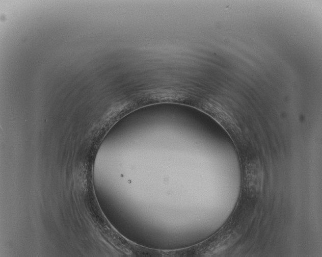 X0000063500255200601271752