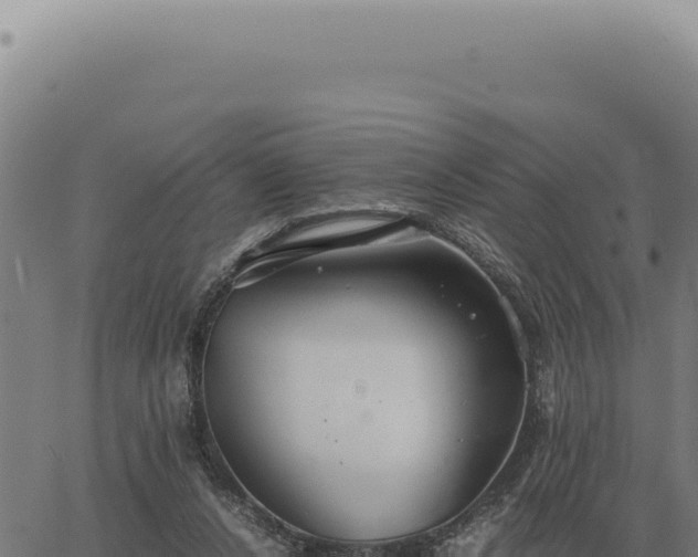 X0000063500256200601271752