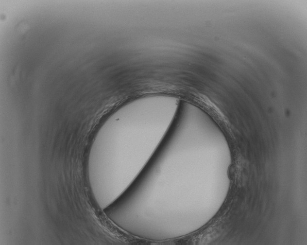 X0000063500257200601271752