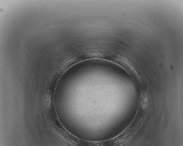 X0000063500259200601271752