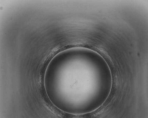 X0000063500260200601271752