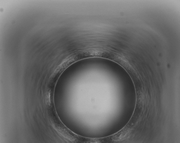 X0000063500262200601271752