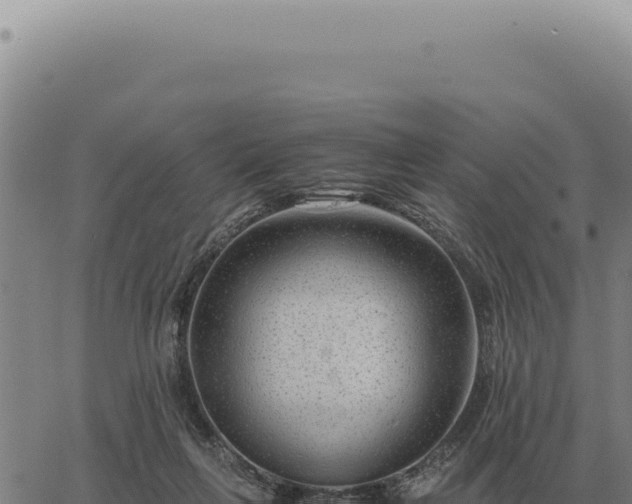 X0000063500263200601271752