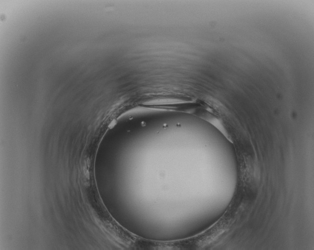 X0000063500264200601271752