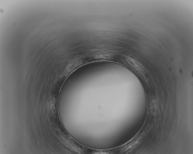 X0000063500265200601271752