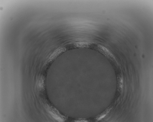 X0000063500266200601271752