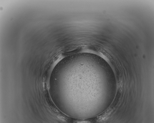 X0000063500268200601271752