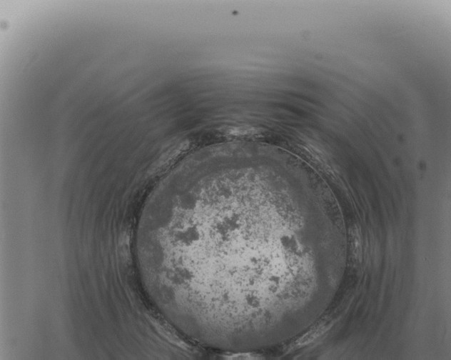 X0000063500269200601271752