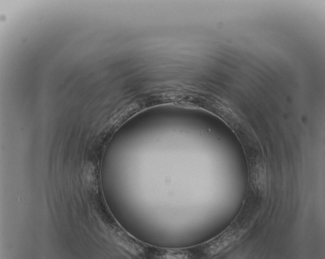 X0000063500270200601271752