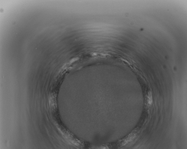 X0000063500272200601271752