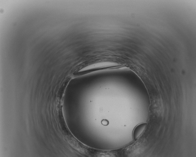 X0000063500275200601271752