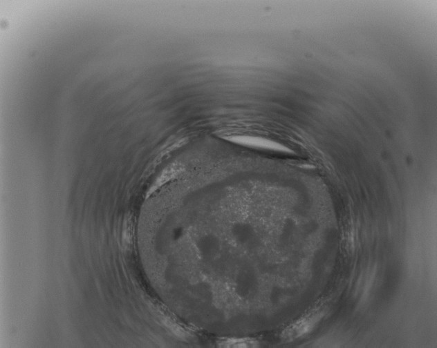 X0000063500277200601271752