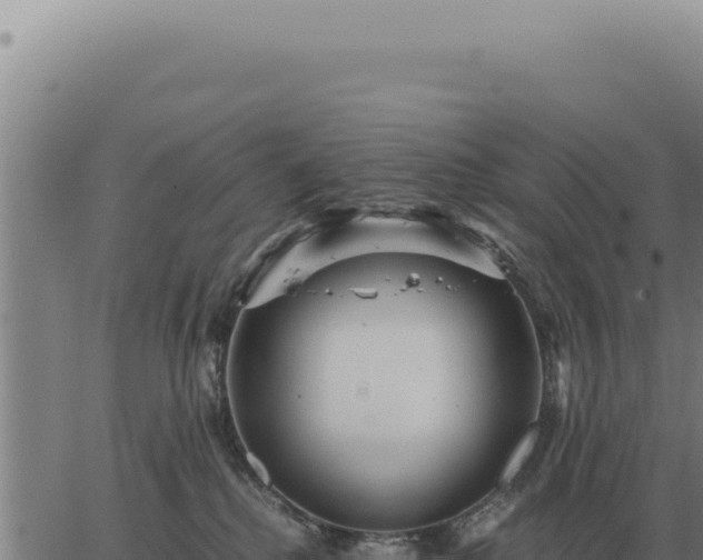 X0000063500280200601271752