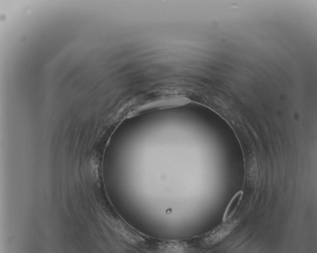 X0000063500282200601271753