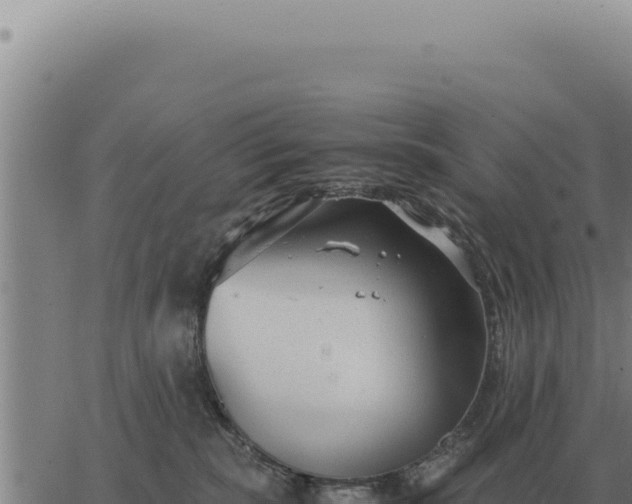 X0000063500283200601271753