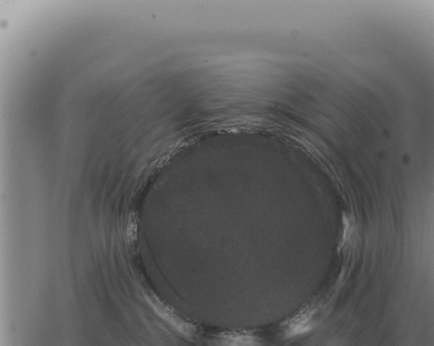 X0000063500284200601271753