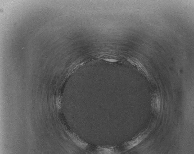 X0000063500285200601271753