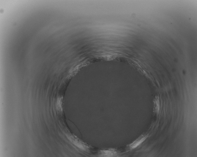 X0000063500286200601271753