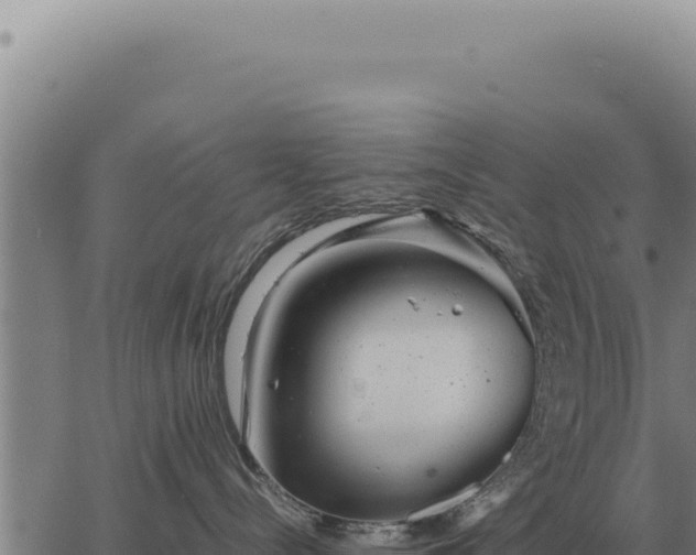 X0000063500288200601271753