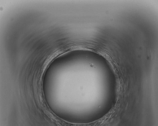 X0000063500289200601271752