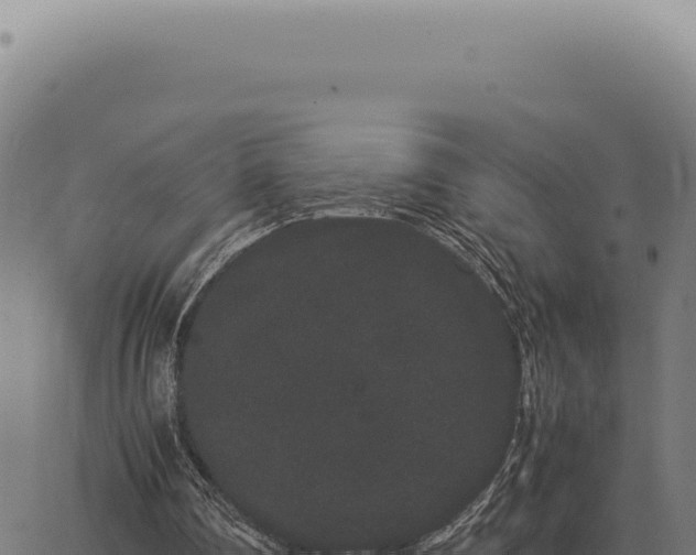 X0000063500290200601271752