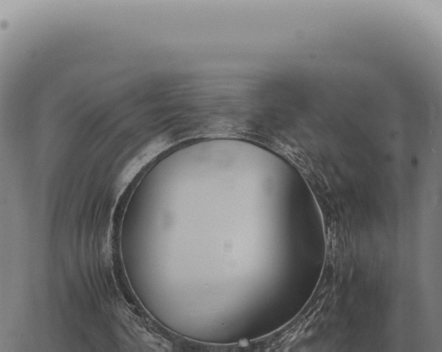 X0000063500292200601271752