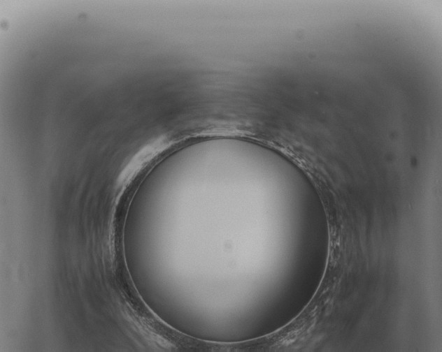 X0000063500296200601271752