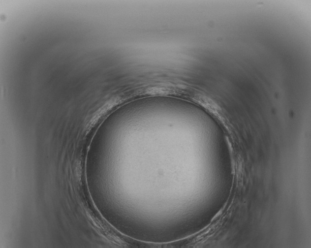 X0000063500297200601271752