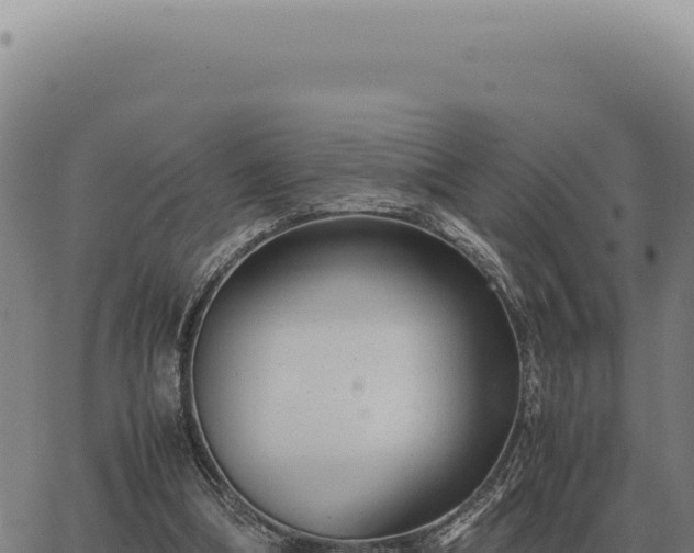 X0000063500298200601271752