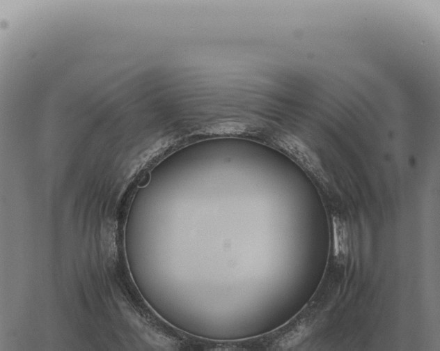 X0000063500300200601271752