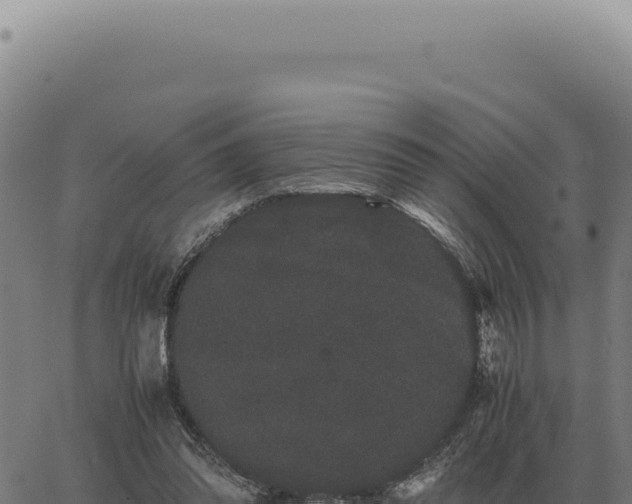 X0000063500302200601271752