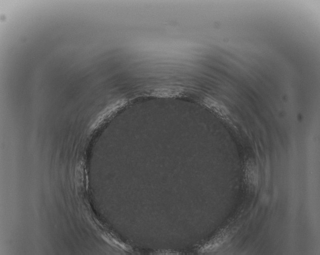 X0000063500303200601271752