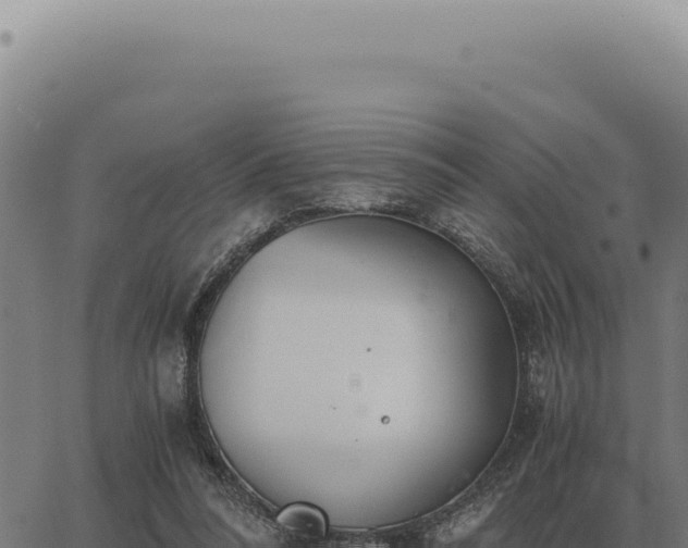 X0000063500304200601271752