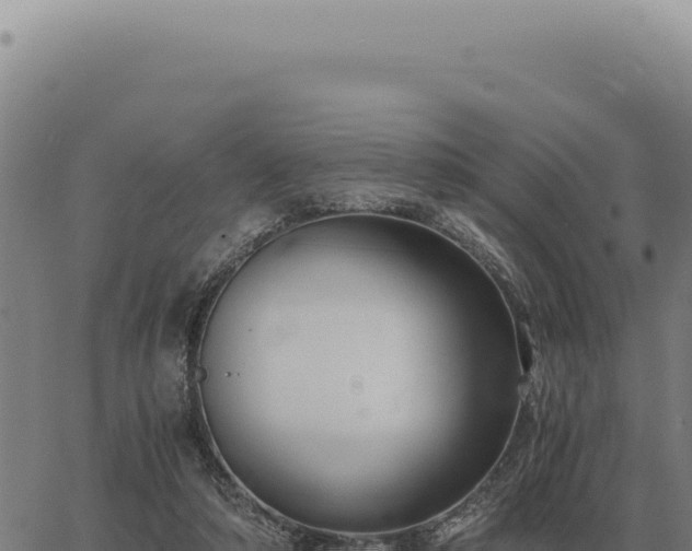 X0000063500306200601271752