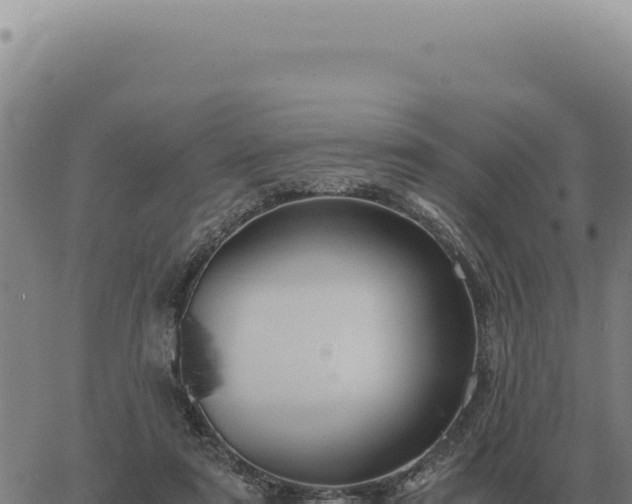 X0000063500307200601271752