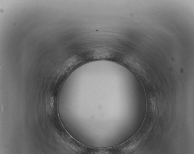 X0000063500308200601271752