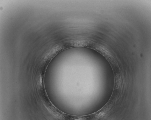 X0000063500310200601271752