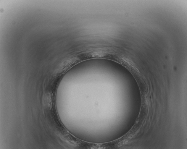 X0000063500311200601271751