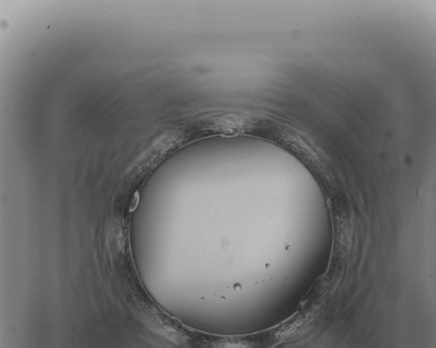 X0000063500313200601271751