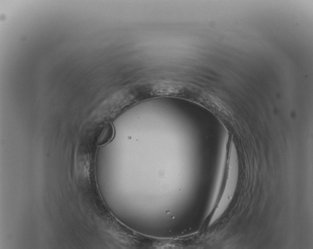 X0000063500315200601271751