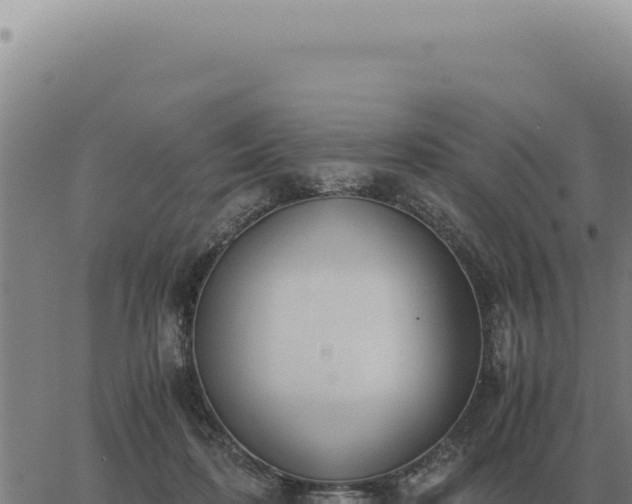 X0000063500316200601271751