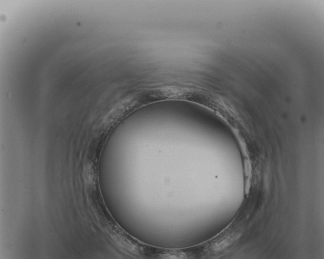 X0000063500317200601271751