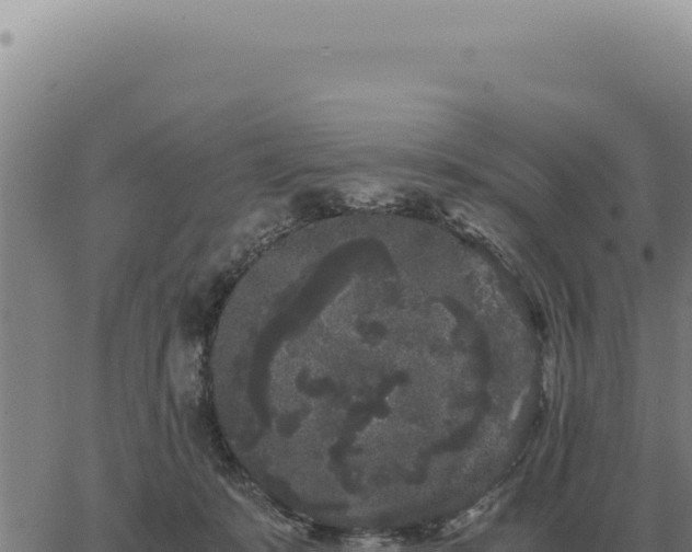 X0000063500319200601271751