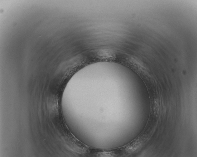 X0000063500320200601271751