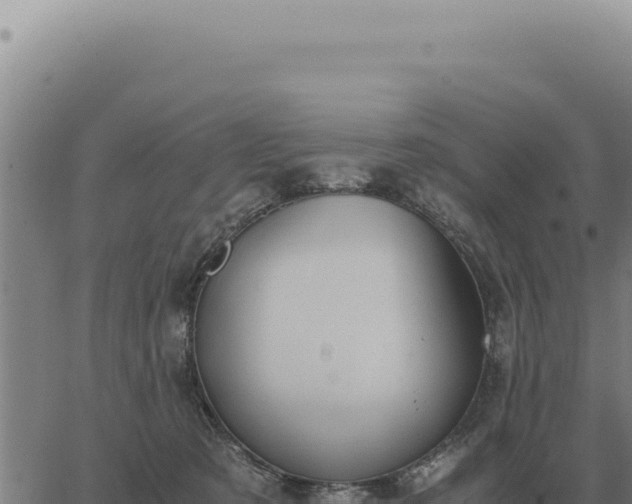 X0000063500321200601271751